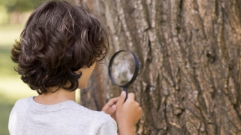 Ocena funkcjonalna – nowa ods�ona rozeznania potrzeb i mo�liwo�ci uczni�w  